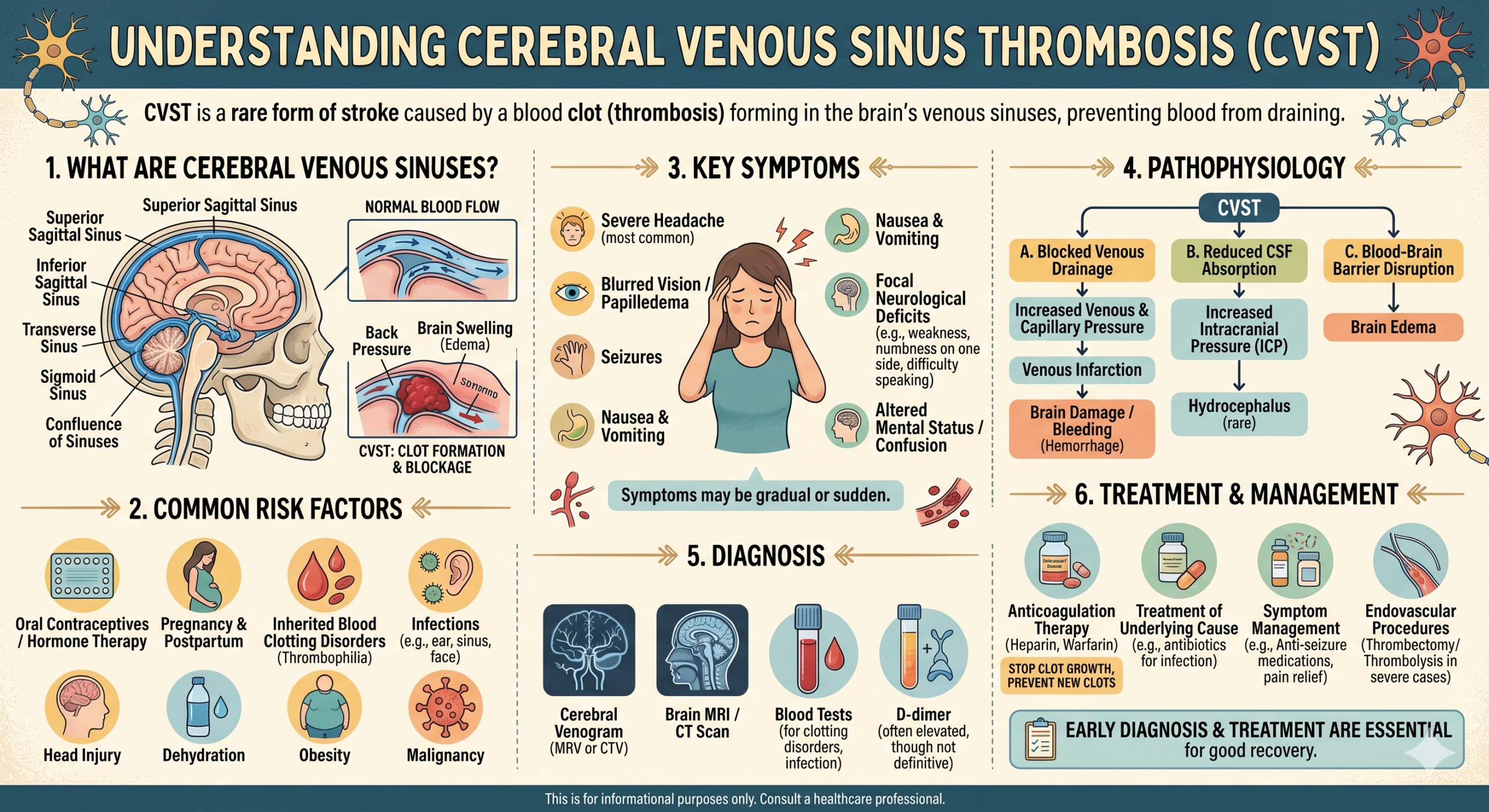 infographic explaining cerebral venous sinus thrombosis - a rare form of stroke